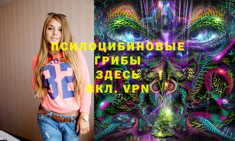 shop клад  Сковородино  Псилоцибиновые грибы Cubensis  ссылка на мегу tor 